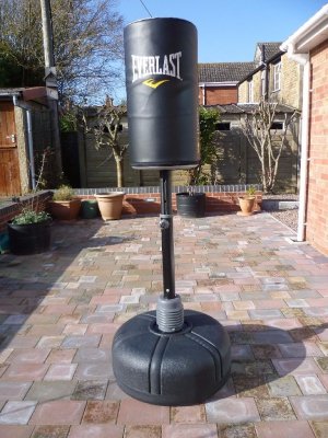 Everlast omniflex review